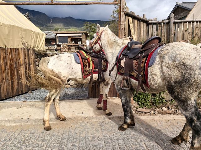 麗江民宿封神雪山腳下睡進日照金山的溫柔裡