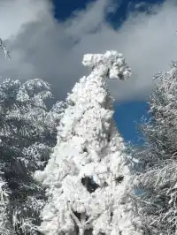 樺皮嶺踏雪徒步|88元冬遊特惠!