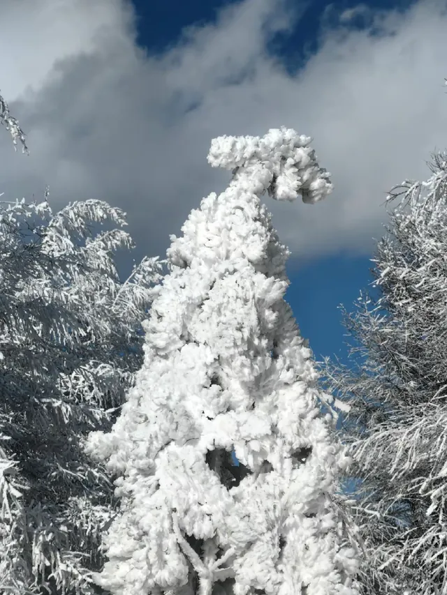 樺皮嶺踏雪徒步|88元冬遊特惠! 樺皮嶺踏雪徒步|88元冬遊特惠!