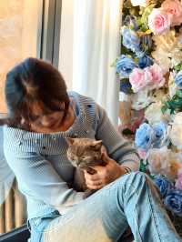 平潭這家海景民宿也太治癒了！面朝大海撸貓太幸福