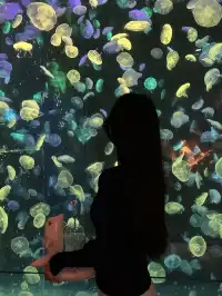 🫧淡季的珠海長隆!!真的玩得太開心啦!!