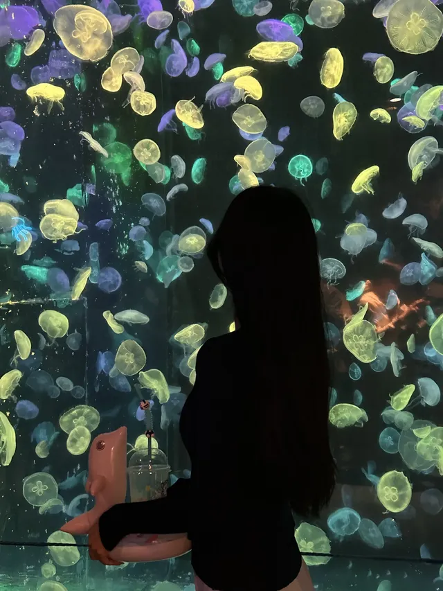 🫧淡季的珠海長隆!!真的玩得太開心啦!! 🫧淡季的珠海長隆!!真的玩得太開心啦!!