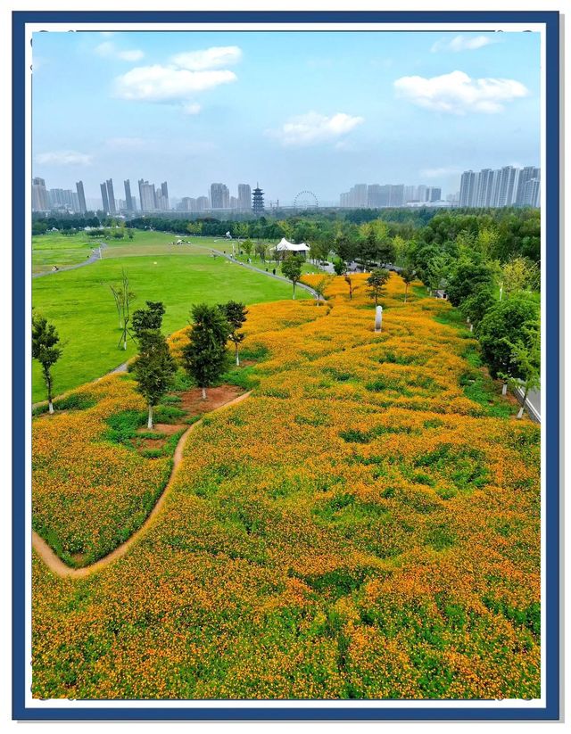 長沙迎來封神的秋天，這些地方真的超美！