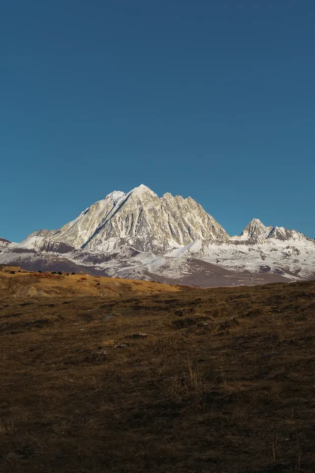 你去你的理小路,我去我的姑弄村 你去你的理小路,我去我的姑弄村