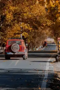 你去你的理小路,我去我的姑弄村