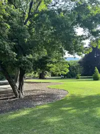 基督城不愧是上帝的“後花園”