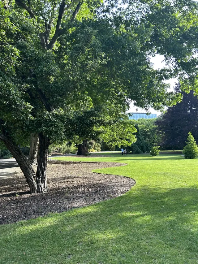 基督城不愧是上帝的“後花園”