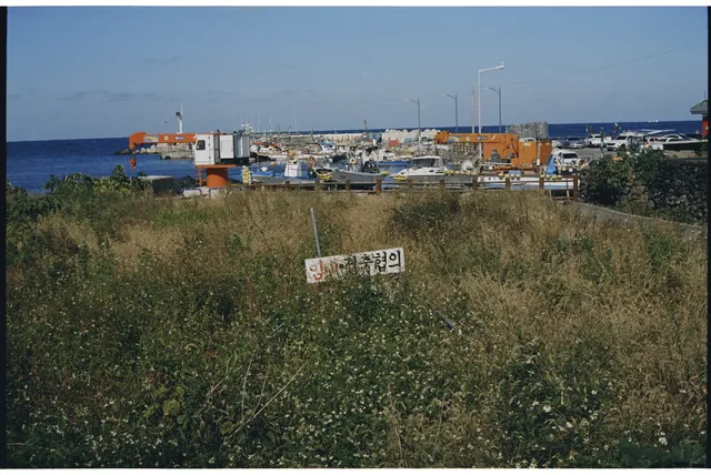 5203,海邊的風景、曝光的意外 5203,海邊的風景、曝光的意外