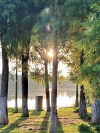 昆明「小瑞士」打卡指南