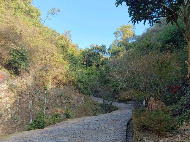 秋日步行路線推薦梅關古道