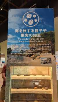 Impressive Island Exhibit