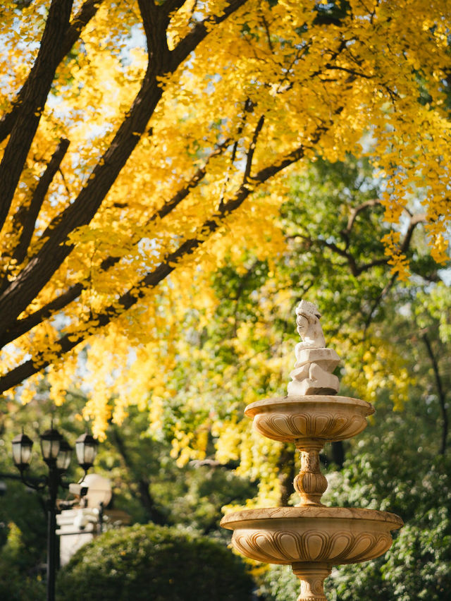 清晨8點,我拍到了樹的呼吸聲! 清晨8點,我拍到了樹的呼吸聲!