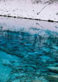 下雪的九寨溝美到窒息！這場"豪賭"太值了