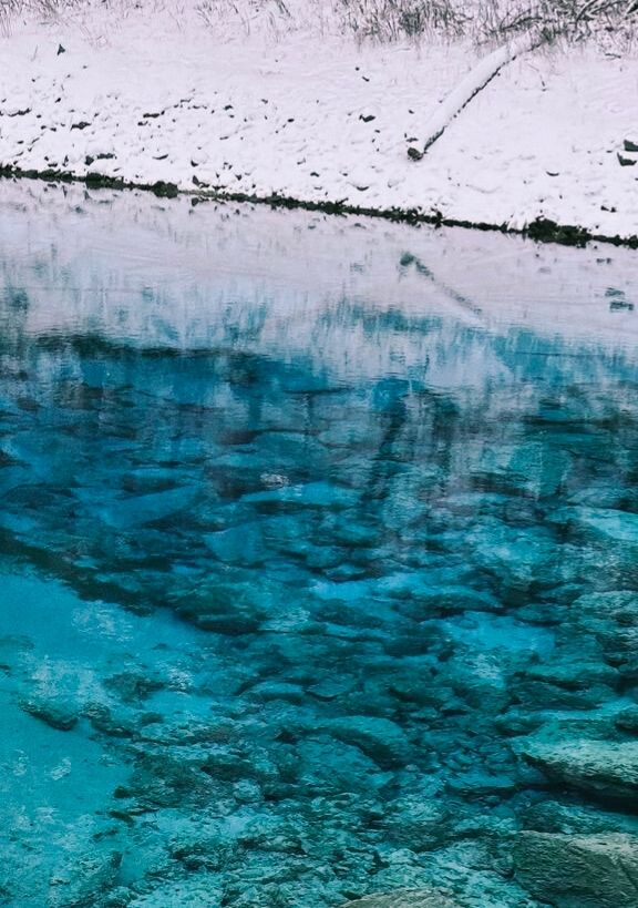 下雪的九寨溝美到窒息！這場"豪賭"太值了