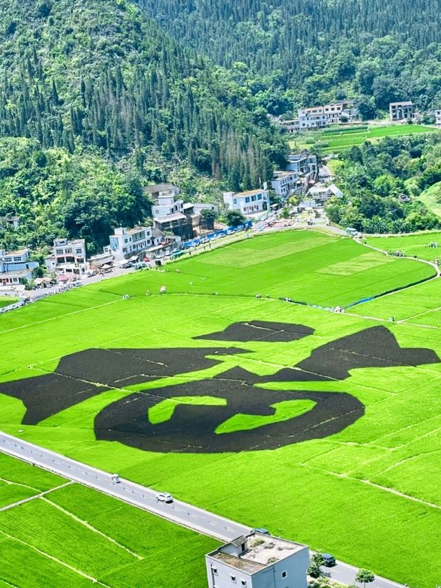 貴州萬峰林,秘境治癒之旅 貴州萬峰林,秘境治癒之旅