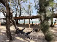 涠洲島|環島書店,就真的很chill