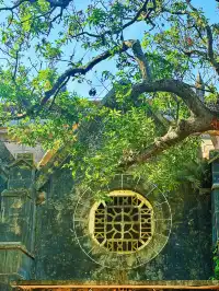 涠洲島根本不是島