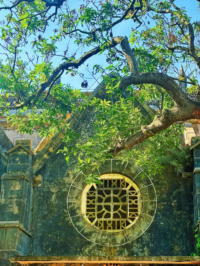 涠洲島根本不是島 涠洲島根本不是島