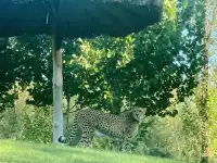 北京大興野生動物園-值得N刷