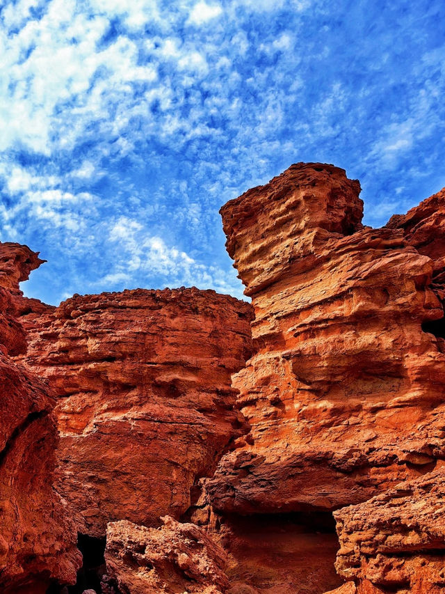 高鐵開通前衝!烏海這顆西北遺珠,沙海共生美到窒息 高鐵開通前衝!烏海這顆西北遺珠,沙海共生美到窒息