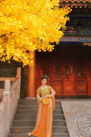 巨出片西安嚴重被低估的皇家寺院