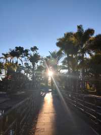 普洱這個小眾秘境，藏著最治癒的冬日暖陽