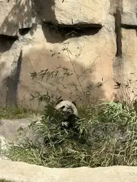 30歲不薅羊毛，更待何時！