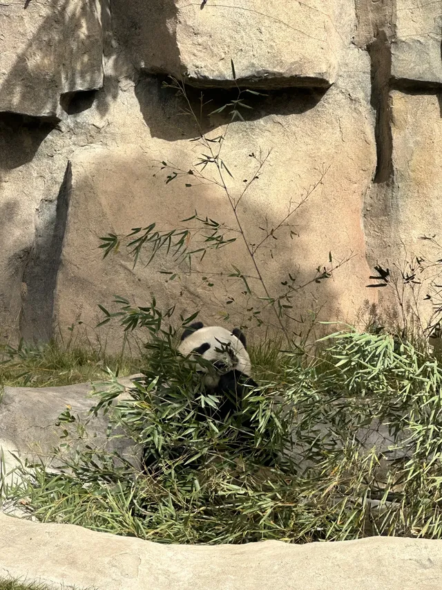 30歲不薅羊毛，更待何時！