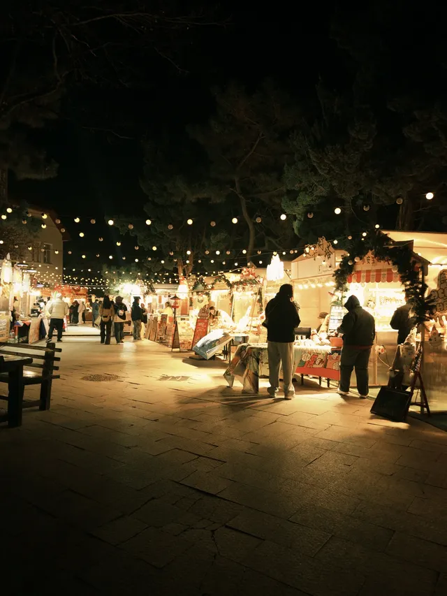 11.30 實況 這個冬日小鎮真的太浪漫了! 11.30 實況 這個冬日小鎮真的太浪漫了!