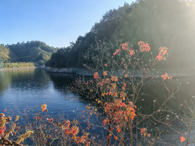 千島湖②｜秋冬環湖自駕
