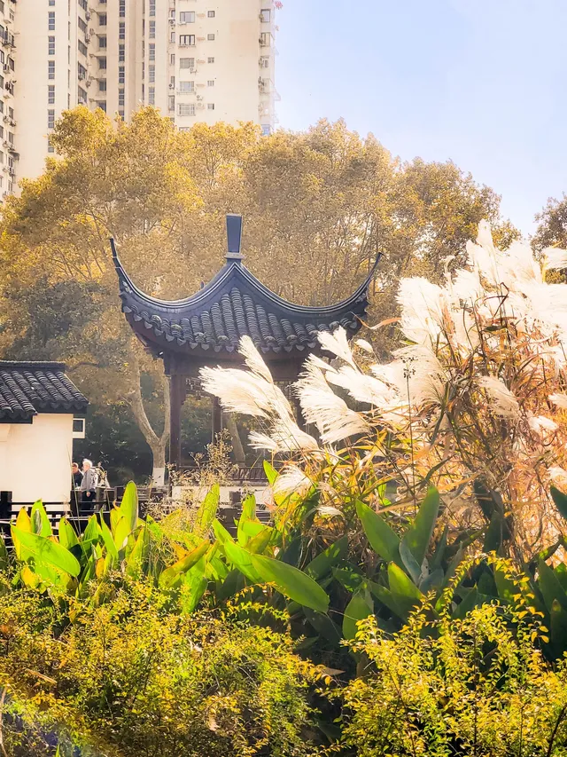 11.27實拍!和平公園的秋天比濾鏡還絕! 11.27實拍!和平公園的秋天比濾鏡還絕!