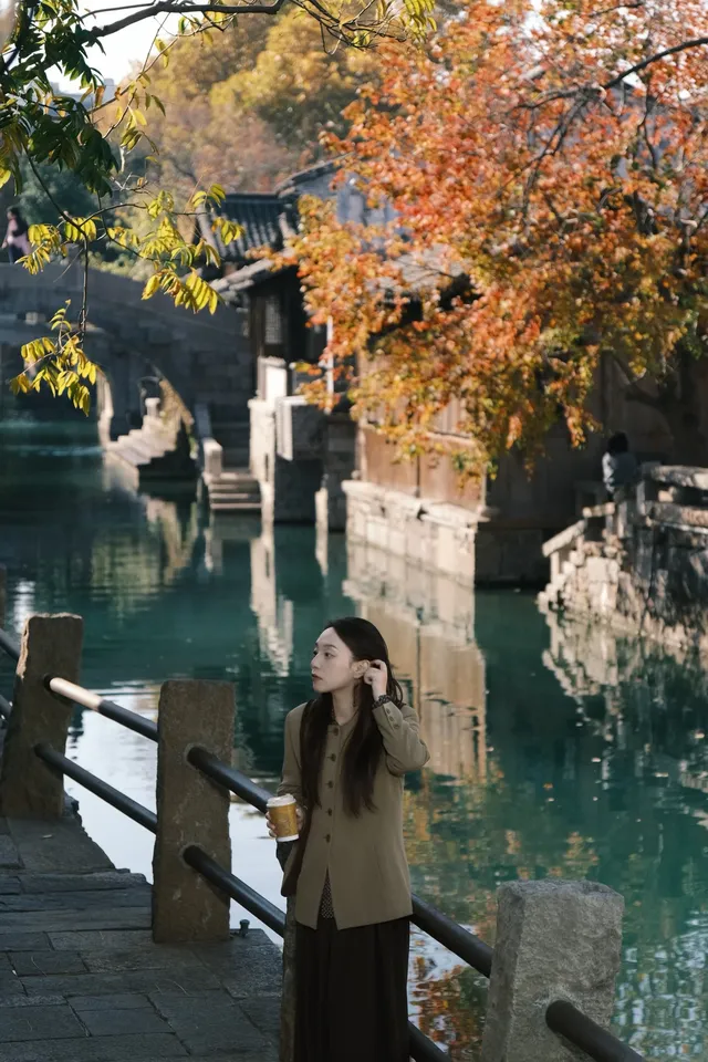 🪾千年銀杏，恰逢濮院橙黃橘綠時