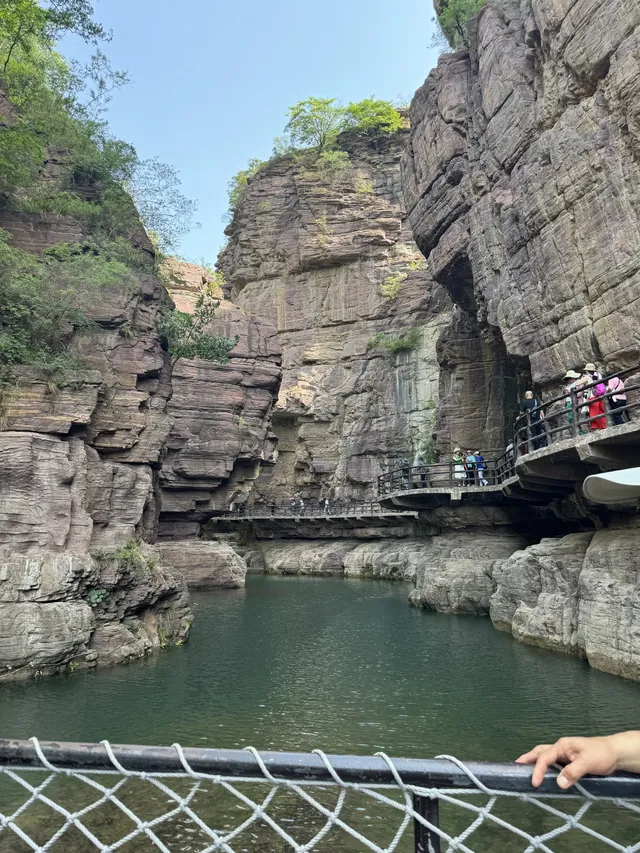 秋日雲台山兄弟局攻略 紅葉+鬆弛感雙拿捏 秋日雲台山兄弟局攻略 紅葉+鬆弛感雙拿捏