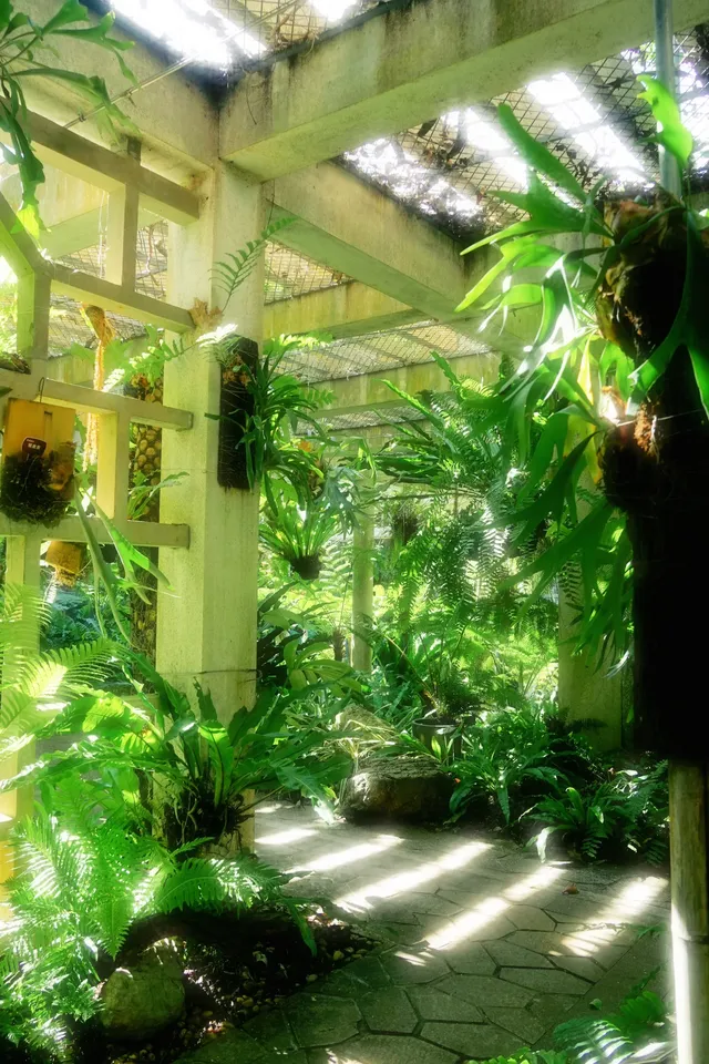 廈門植物園 | 像植物一樣呼吸