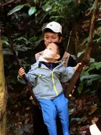 西雙版納+普洱6天5晚旅遊攻略(輕鬆版)