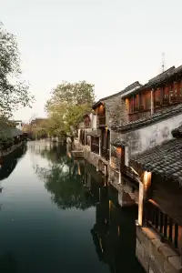 是何老師同款濮院！《嚮往》裡的秋日油畫江南！