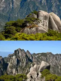 黃山(二) | 松與石