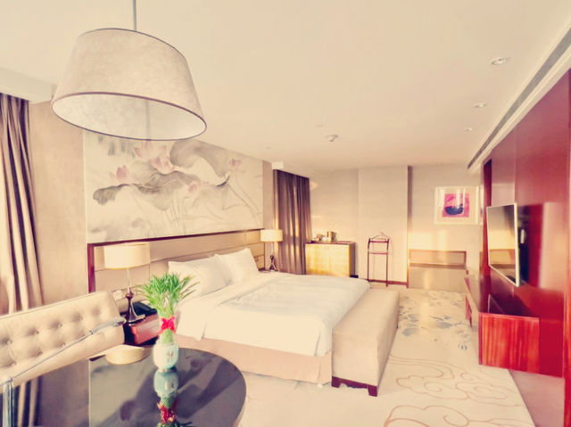 牌五星的海淀穩穩之選