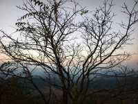 德化秘境水車觀景台