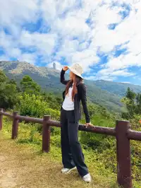 香港|大帽山郊野公園