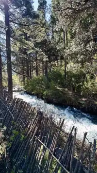 不上班後 人生都明媚了