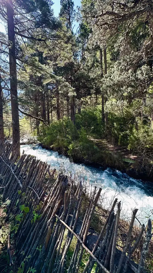 不上班後 人生都明媚了