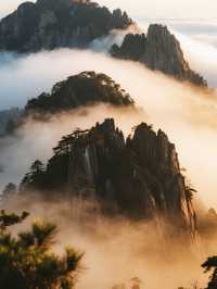 黃山冬日親子雪遊！免票攻略輕鬆打卡～