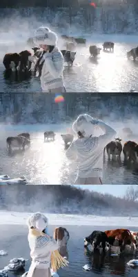 人生第一次在雪林裡騎馬,童話阿爾山