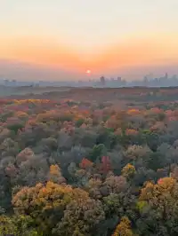 南京2天1晚 丨超詳細賞秋寶藏路線