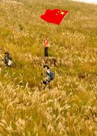 人生建議:11月一定要去看大南山的秋天!