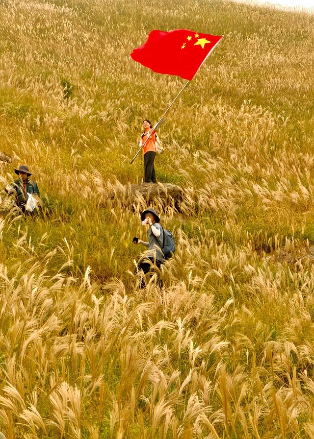 人生建議:11月一定要去看大南山的秋天! 人生建議:11月一定要去看大南山的秋天!