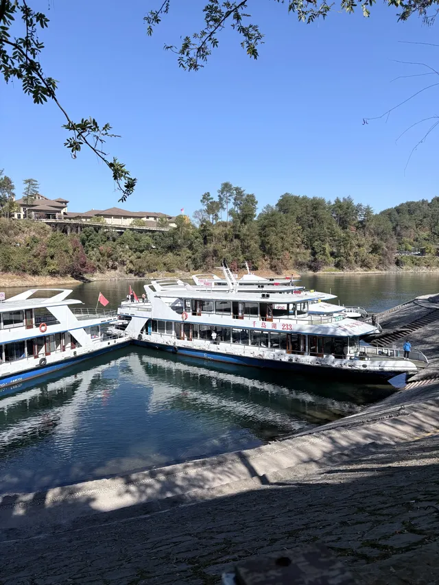 千島湖中心湖區攻略｜帶娃免門票遊湖！