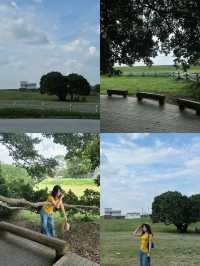 佛山小新疆治癒遊