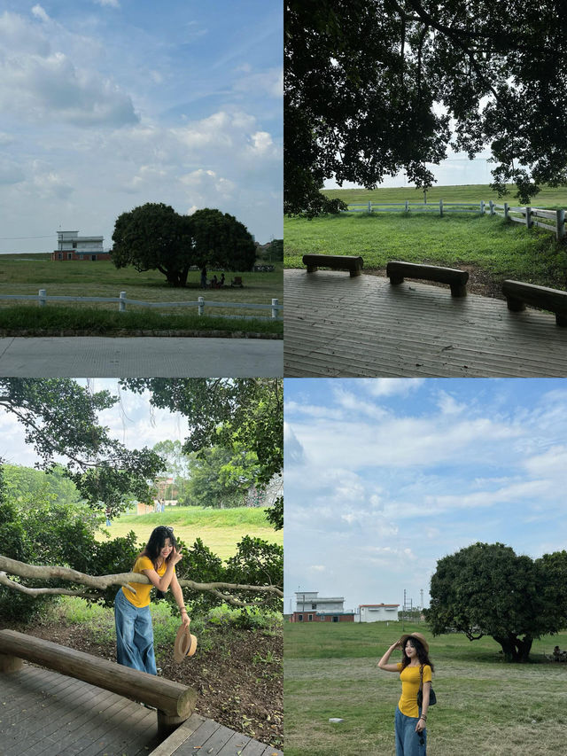 佛山小新疆治癒遊 佛山小新疆治癒遊